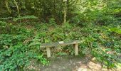 Randonnée Marche Bouillon - Le Sentier des Points de Vues - Bouillon - Photo 8