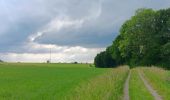 Randonnée Marche Esneux - parc du Mary. targnon . parc du Mary - Photo 12