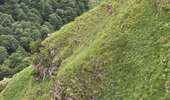 Trail Walking Bagnères-de-Luchon - descente Campsaure avec Aless  - Photo 4