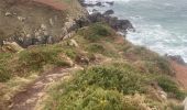 Trail Walking Beuzec-Cap-Sizun - Beuzec falaise beuzec - Photo 8