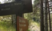 Trail Walking Moulinet - Baisse de Bécass - Photo 10