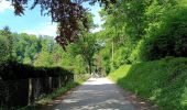 Percorso Marcia Ferrières - Promenade des cretes - Photo 18