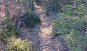 Trail Walking Bédoin - Sur les Traces du Père Noël 🎅  - Photo 5