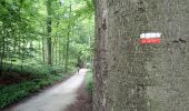 Trail On foot Auderghem - Oudergem - #190715 - Rouge-Cloître, Trois Couleurs, Keizersbron et étangs des Chabots**** - Photo 7