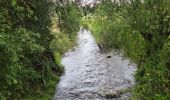 Tocht Stappen Gulpen-Wittem - Epen - Photo 16