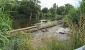 Tour Zu Fuß Eschwege - Rundweg Werratalsee - Photo 5