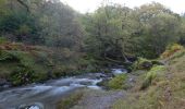 Tocht Te voet The Municipal District of Wicklow - Spinc and Glenealo Valley - Photo 8