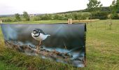 Trail Walking Pontpierre - expo nature Faulquemont  - Photo 19
