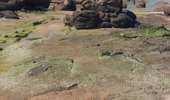 Trail Walking Perros-Guirec - PLOUMANAC DEP. RUE ST GUIREC - Photo 6