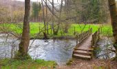 Tocht Stappen Gedinne - Balade de Bourseigne-Vieille à Vencimont - Photo 9