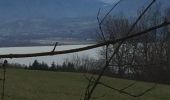 Trail Walking Aix-les-Bains - Croix de Corsuet  - Photo 4