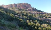 Randonnée Marche Roquebrune-sur-Argens - Rocher de Roquebrune sur Argens-23-02-22 - Photo 10