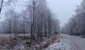 Tocht Stappen Spa - petit tour de la fagne - berinzenne - Photo 13