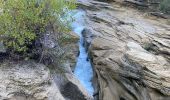 Tocht Stappen Taulignan - Taulignan le chemin de la soie - Photo 8