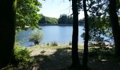 Trail Walking Saissac - le lampy - Photo 10