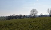 Tour Wandern Herve - 20220305 - Xhendelesse 13.7 Km - Photo 8