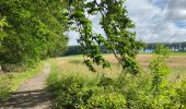 Randonnée Marche Genappe - Glabais - Hauts du bois Ways Ruart - Photo 1