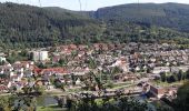 Tocht Te voet Hirschhorn - Rundwanderweg Hirschhorn Igelsbach 2: Langer-Wald-Weg - Photo 1