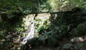 Trail Walking Val-d'Aigoual - Cascade d'Orgon depuis Cap de Côte - vue Mont Aigoual - Photo 15