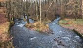 Excursión Senderismo Herbeumont - RSIH - Herbeumont - L'Antrogne - Photo 1