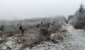 Randonnée Marche Theux - dans le givre de Crambon  - Photo 11