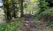 Trail Walking Tréminis - Sentier de la résistance en boucle - Photo 10