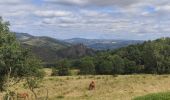 Tour Wandern Leigneux - Randonnée au dessus de Leigneux  - Photo 14