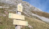 Trail Walking Bernex - Tour Dent d'Oche - Photo 2