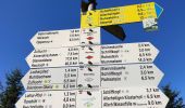 Percorso A piedi Oppenau - Rotenbachhof-Windschlagwald - Photo 7