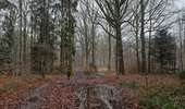 Tour Wandern Clavier - Pailhe - Photo 3