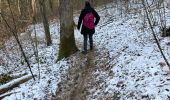 Trail Walking Rochefort - Fond de tions  - Photo 2