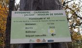 Trail Walking Jalhay - 2021-11-16_21h27m43_Cirkwi-Balade_à_Jalhay-Royompré_-_47 - Photo 3