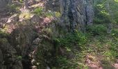 Trail Walking Jalhay - mon 8 de la statte  - Photo 20