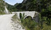 Randonnée Marche Pradelle - Pradelle - Vallée de la Roanne - Photo 7