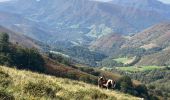 Tocht Stappen Macaye - Mont Baigura  - Photo 9