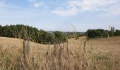 Tocht Elektrische fiets Ronse - Renaix- La Houppe par Ellezelles - Photo 9