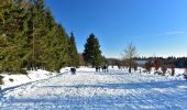 Randonnée A pied Waimes - Ovifat : Piste de Ski - Botrange - Photo 7