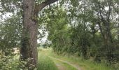 Trail Walking Sainte-Foy-Saint-Sulpice - Randonnée des étangs Sainte Foy-Saint Sulpice  - Photo 11