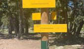 Tour  Angoustrine-Villeneuve-des-Escaldes - Lac des des  Bouillouses  - Photo 5