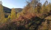 Trail Horseback riding Viroinval - Oignies- Nobertin- La folie-Oignies - Photo 9