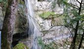 Tocht Stappen Talloires-Montmin - cascade langon - Photo 1