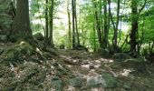 Randonnée Marche Verviers - aqueduc-bois de Jalhay-Cossart  - Photo 5