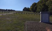 Percorso Bici da strada Cernay - Le Grand ballon de Cernay  - Photo 1