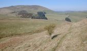 Tocht Te voet Unknown - Saint Cuthbert's Way (Kirk Yetholm to Lindisfarne) - Photo 1