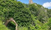 Tour Wandern Rappoltsweiler - Les 3 châteaux de Ribeauvillé - Photo 5