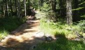 Trail Walking Saint-Priest-la-Prugne - Col de la Charme - Photo 5