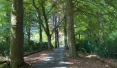 Trail Walking Kalmthout - Heide 24,2 km - Photo 10