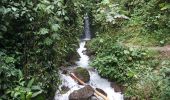 Tocht Stappen Mindo - Cascadas de Tarabita - Photo 10