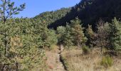 Excursión Senderismo Goudet - Randonnée en boucle au dessus de Boudet - Photo 18