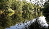 Excursión A pie Itzstedt - Rundweg durch die Gemeinde Itzstedt - Photo 2